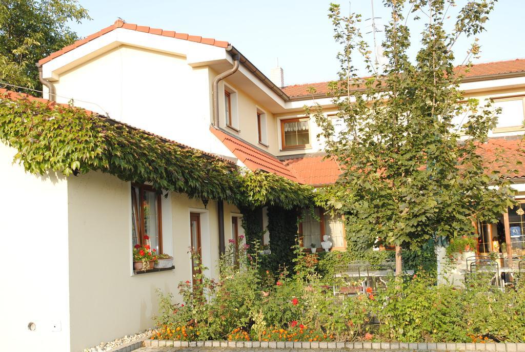 Penzion 77 - Garni Pezinok Extérieur photo